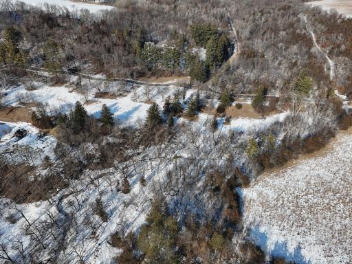 9350 Forest Rd Cannon Falls - Vacant Lot Top.jpg