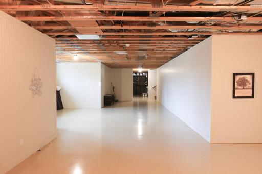 9350 Forest Rd_basement2.jpg