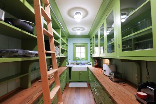 9350 Forest Rd_pantry.jpg