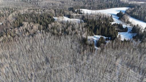 12905 Township Road D, Wawina, MN 55736