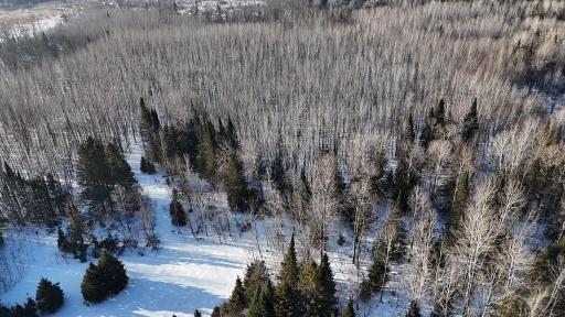 12905 Township Road D, Wawina, MN 55736