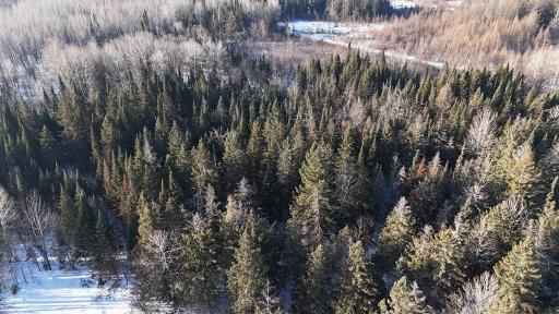 12905 Township Road D, Wawina, MN 55736
