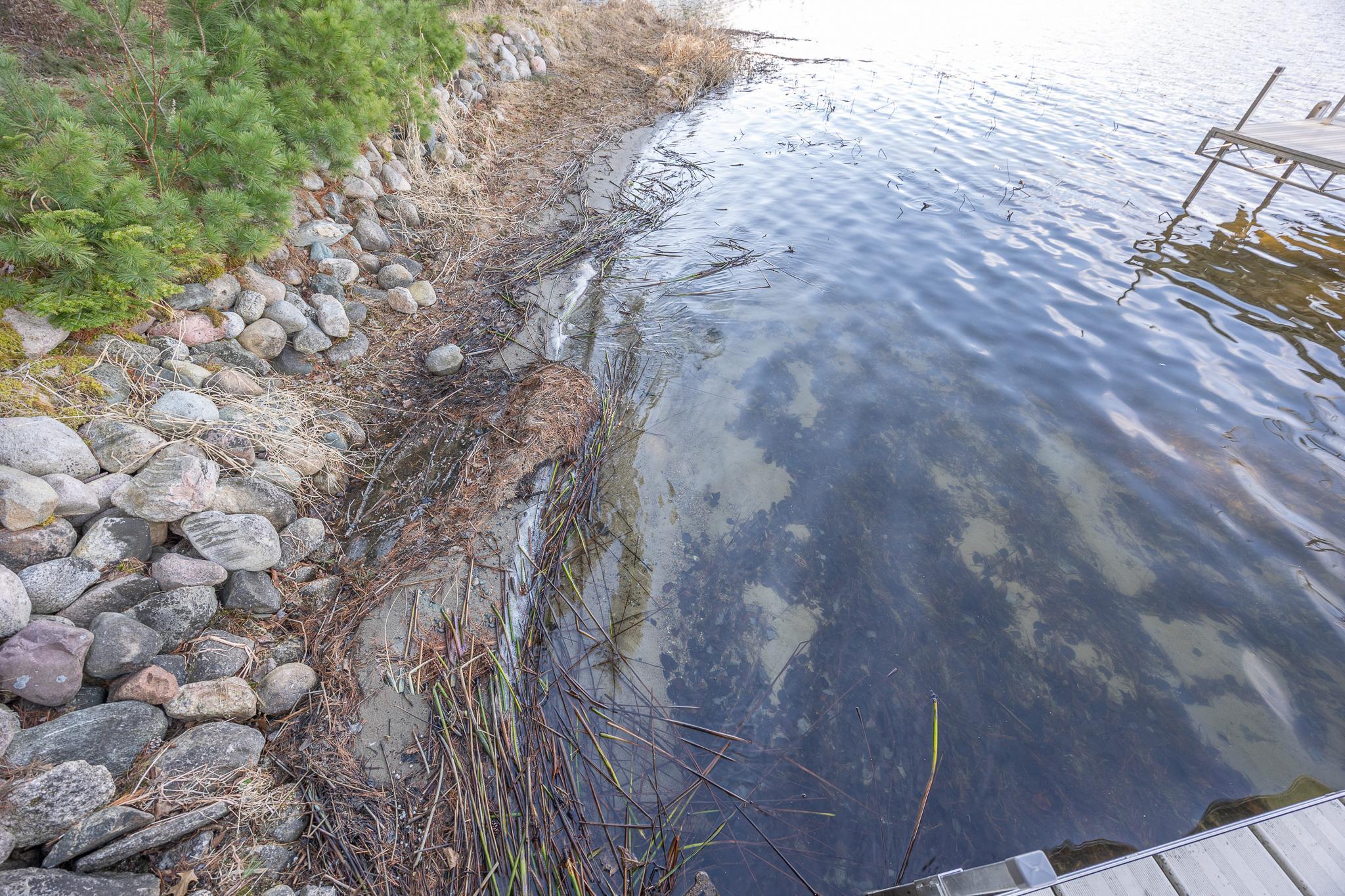 Nice swimmable shoreline
