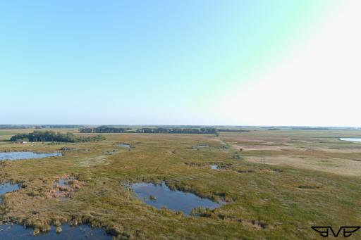 TBD County Road 1, Hankinson, ND 58041