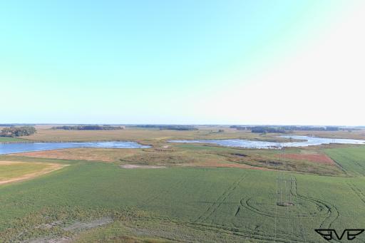 TBD County Road 1, Hankinson, ND 58041