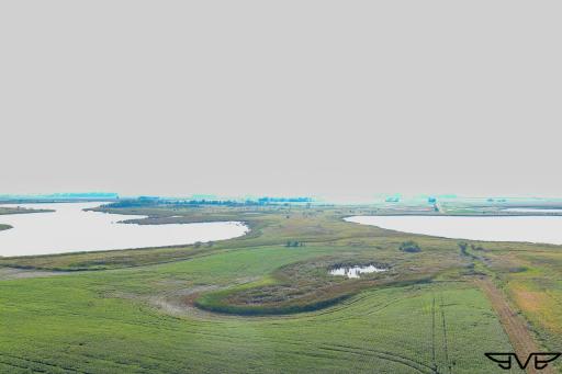 TBD County Road 1, Hankinson, ND 58041