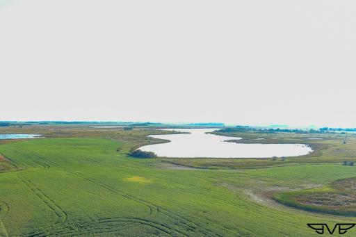 TBD County Road 1, Hankinson, ND 58041
