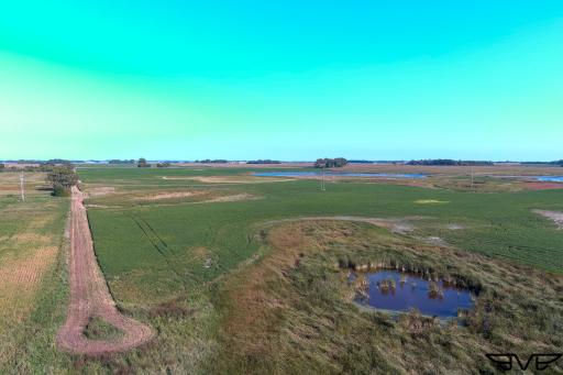 TBD County Road 1, Hankinson, ND 58041