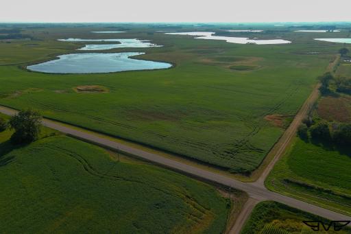TBD County Road 1, Hankinson, ND 58041