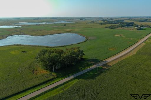TBD County Road 1, Hankinson, ND 58041