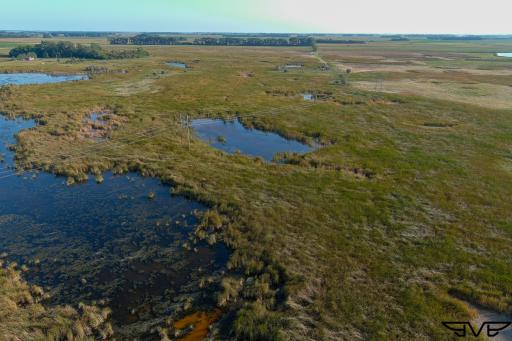 TBD County Road 1, Hankinson, ND 58041