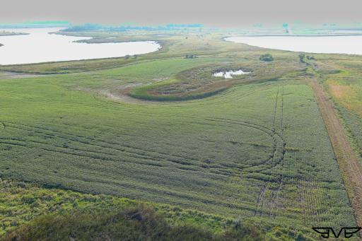 TBD County Road 1, Hankinson, ND 58041