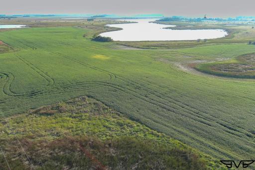 TBD County Road 1, Hankinson, ND 58041