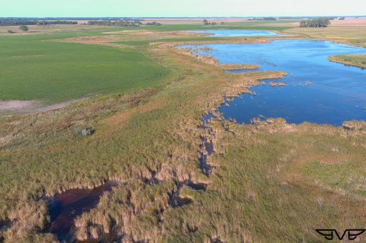TBD County Road 1, Hankinson, ND 58041
