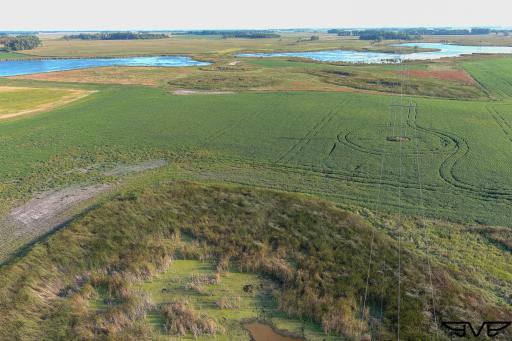 TBD County Road 1, Hankinson, ND 58041