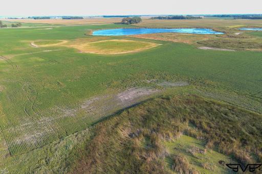 TBD County Road 1, Hankinson, ND 58041