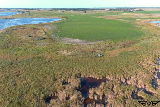 TBD County Road 1, Hankinson, ND 58041