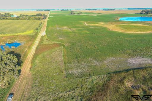 TBD County Road 1, Hankinson, ND 58041