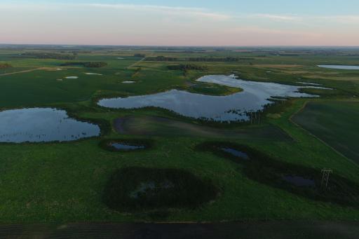 TBD County Road 1, Hankinson, ND 58041