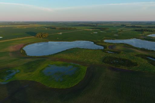 TBD County Road 1, Hankinson, ND 58041