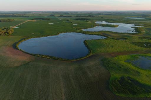 TBD County Road 1, Hankinson, ND 58041