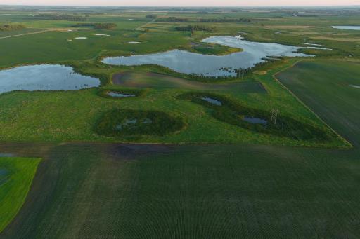 TBD County Road 1, Hankinson, ND 58041