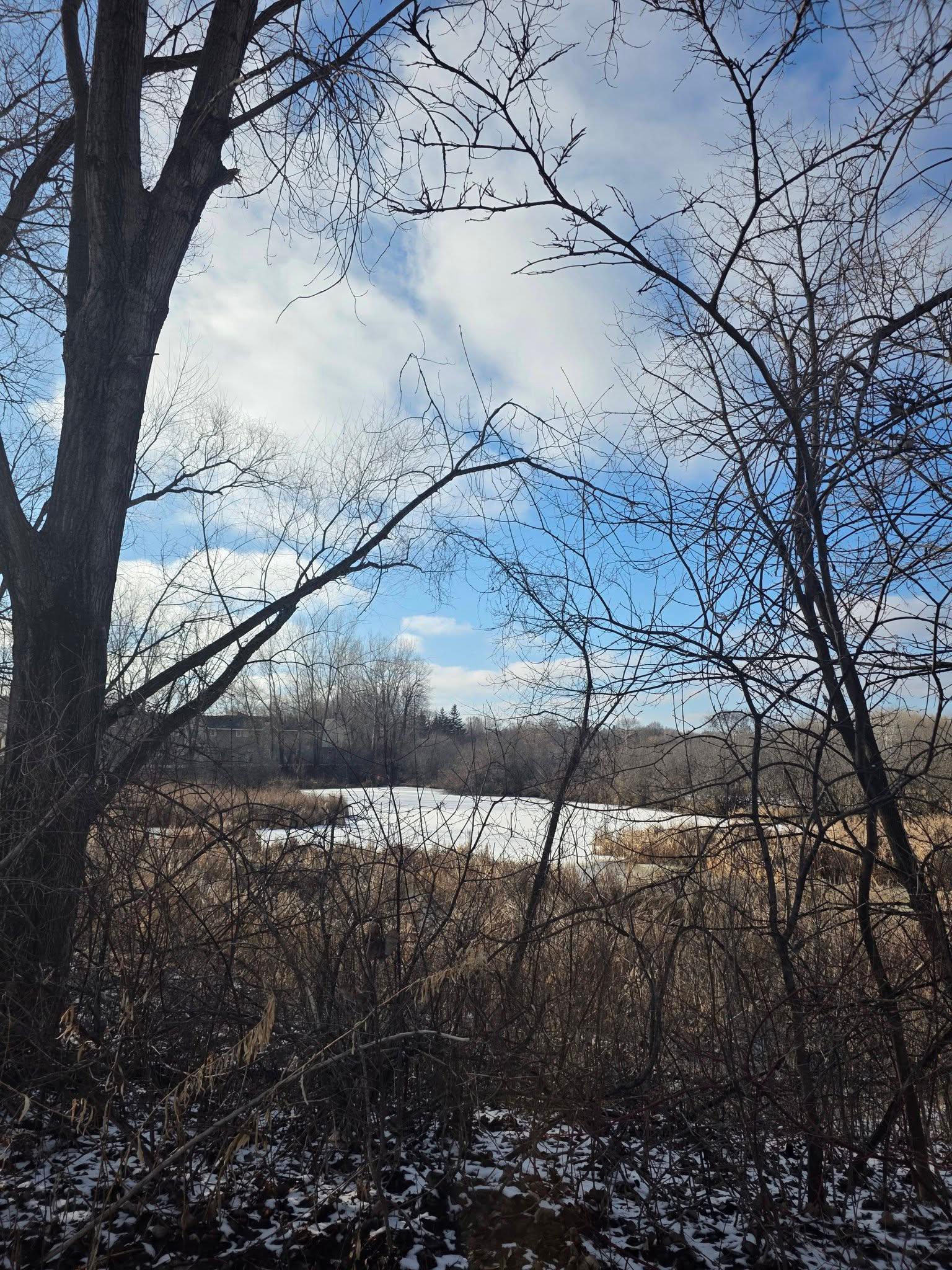 13932 Erwin Ct Eden Prairie - View out the front. Both BRs looks out over nature. 2 story townhome with no other units out the front or back.