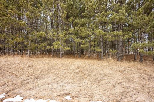 32656 310th Street, Browerville, MN 56438