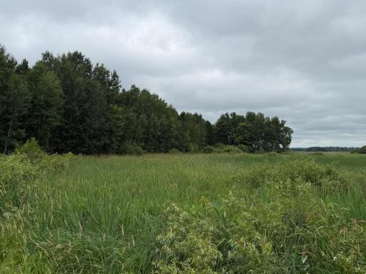 32656 310th Street, Browerville, MN 56438