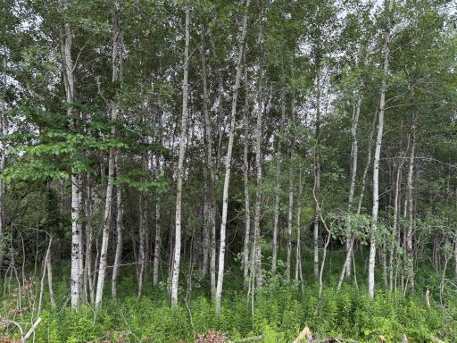 32656 310th Street, Browerville, MN 56438