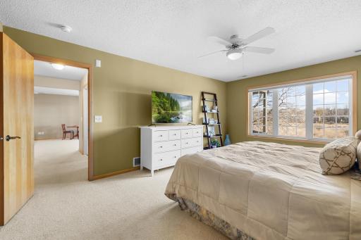 Large lower level bedroom.