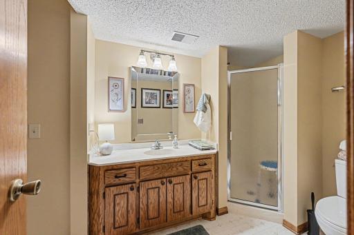 Lower-level bathroom with access to the adjoining bedroom