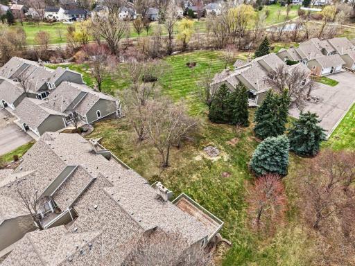 Aerial view of natural green space and mature trees