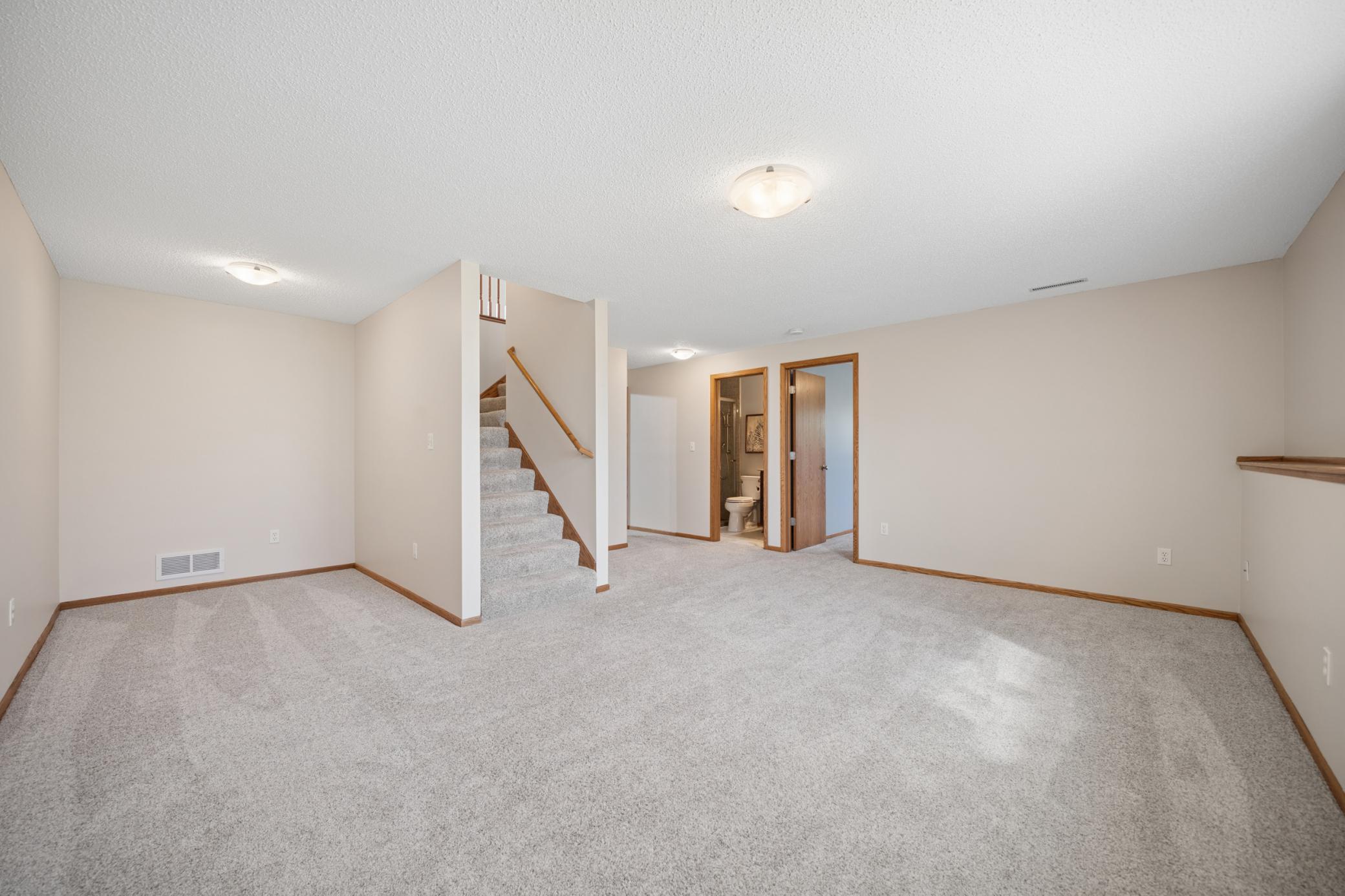 Lower level family room