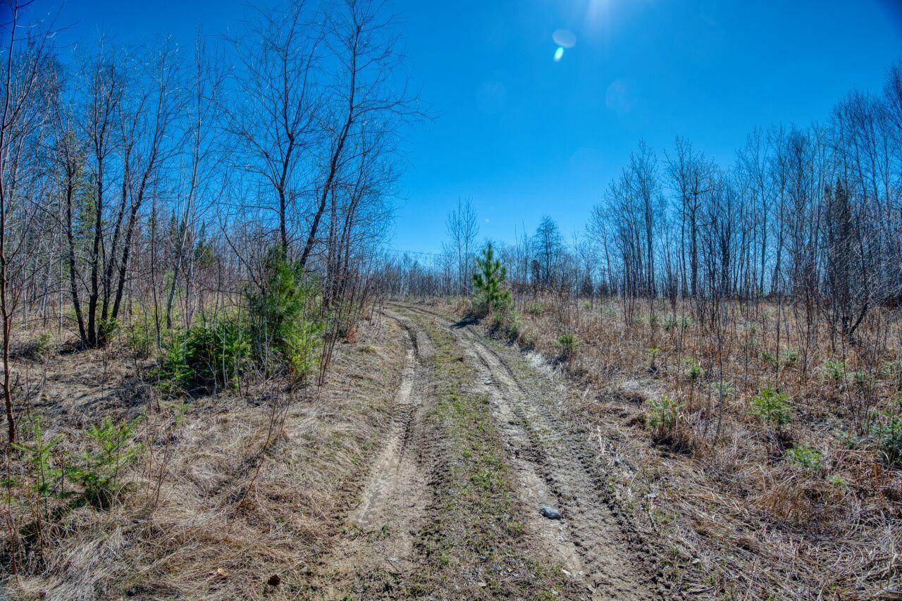 _JLF8569_hdr.jpg