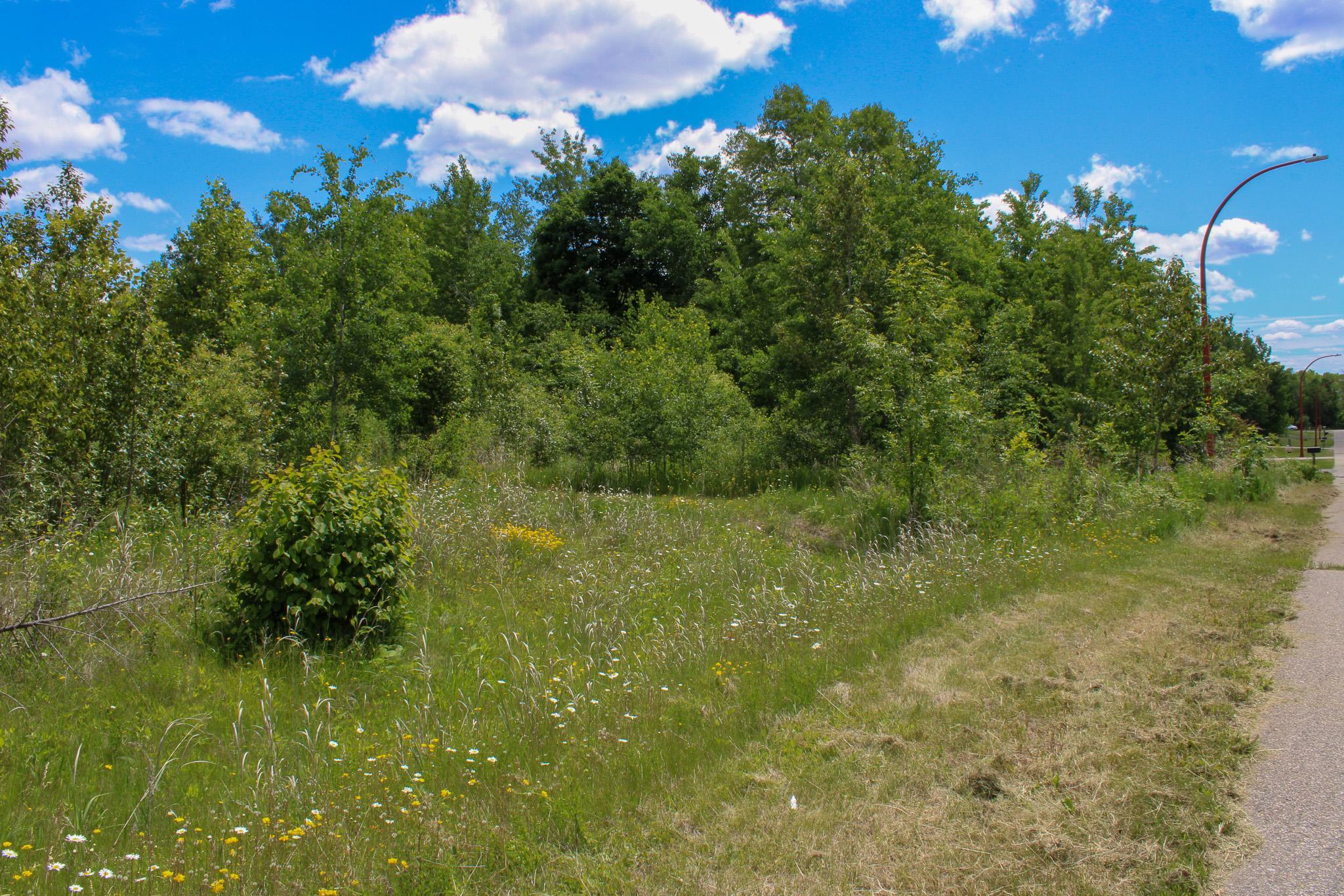 Property photo for TBD 7th Street, Nashwauk, MN 55769