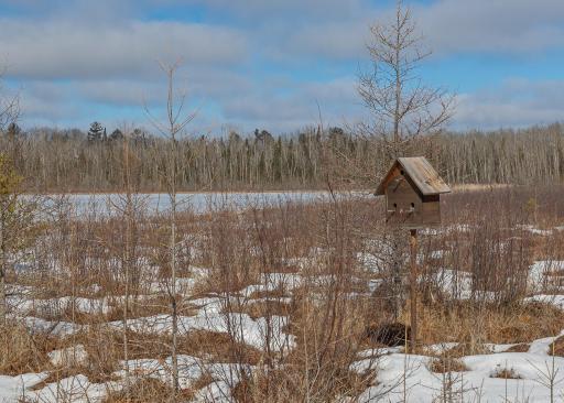 Enjoy bird watching in this natural environment