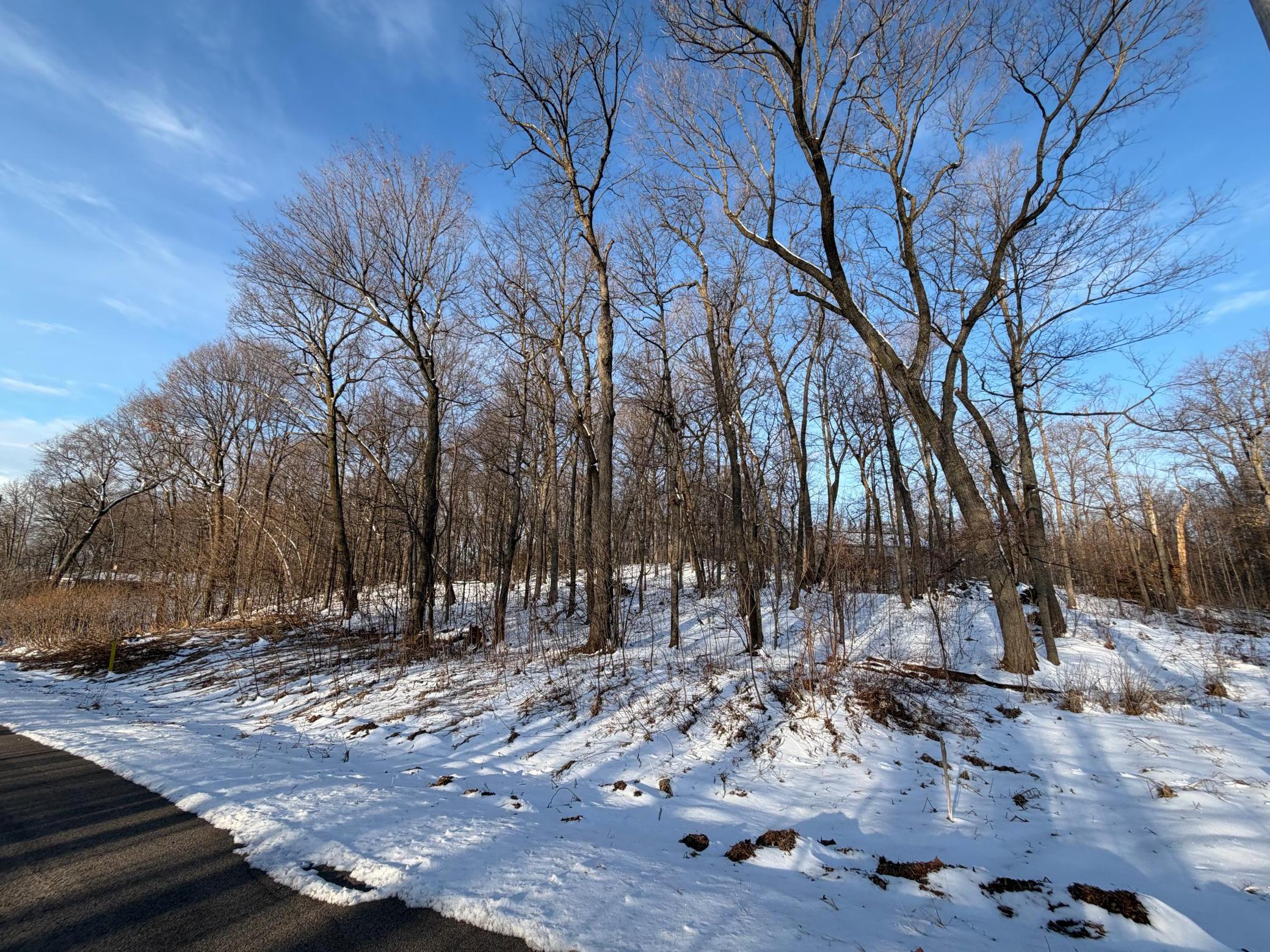 WinterView.jpeg