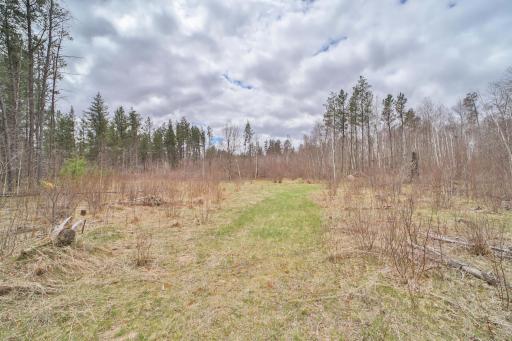 TBD 65th Avenue SW, Motley, MN 56466