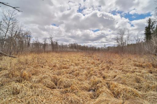 TBD 65th Avenue SW, Motley, MN 56466