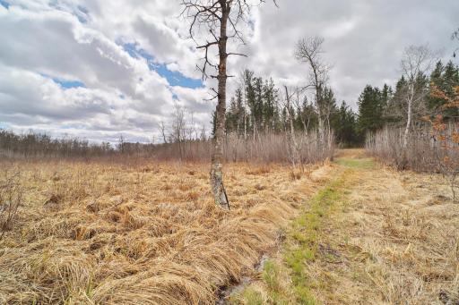 TBD 65th Avenue SW, Motley, MN 56466