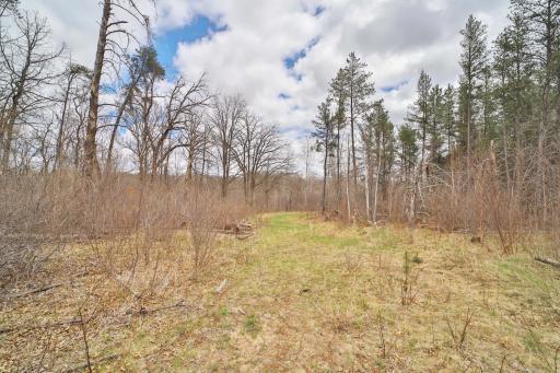 TBD 65th Avenue SW, Motley, MN 56466