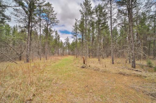 TBD 65th Avenue SW, Motley, MN 56466