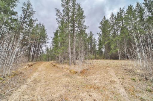 TBD 65th Avenue SW, Motley, MN 56466