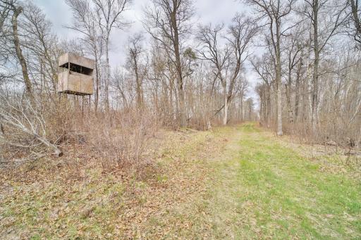 TBD 65th Avenue SW, Motley, MN 56466