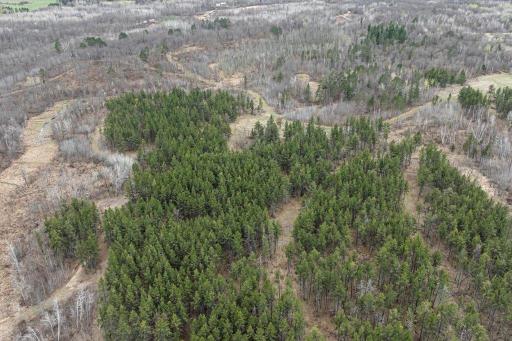 TBD 65th Avenue SW, Motley, MN 56466