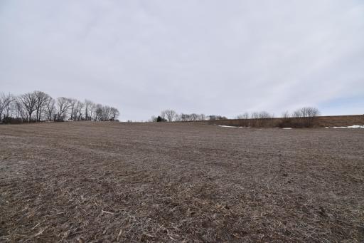 1137 178th Street, Hammond, WI 54015
