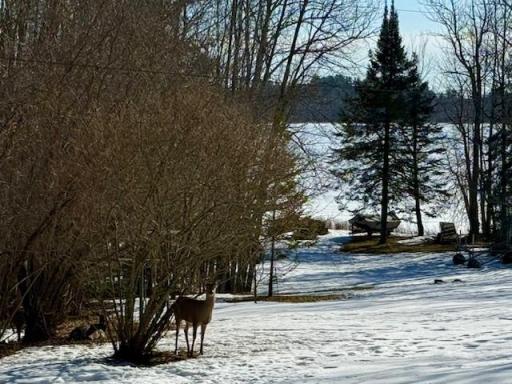 28654 Grozys Point Road, Pengilly, MN 55775