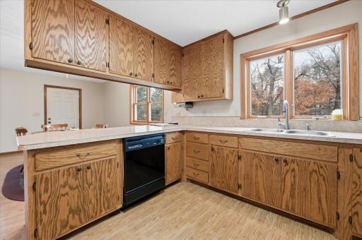 25431 Larch Street NW, Isanti, MN 55040