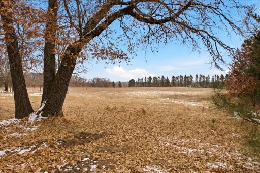 25431 Larch Street NW, Isanti, MN 55040